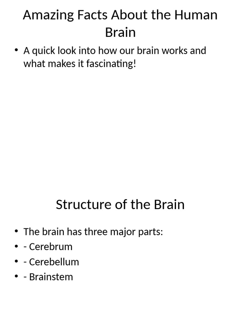 Amazing Facts About The Human Brain | PDF