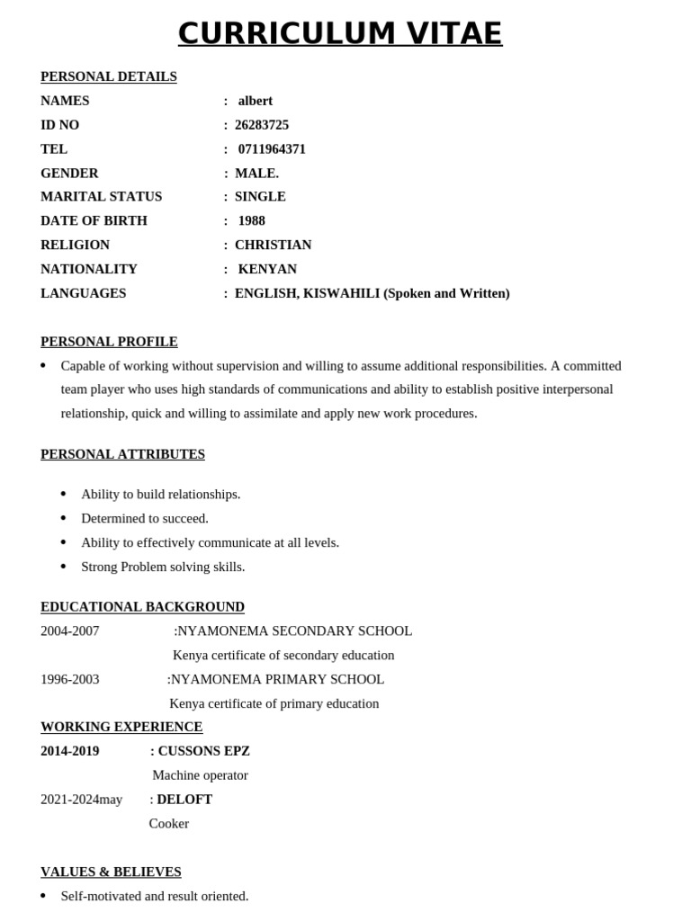 Albert's Comprehensive CV Summary | PDF