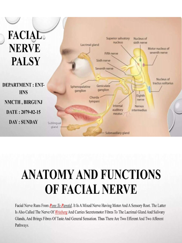 Facial Nerve Palsy | PDF
