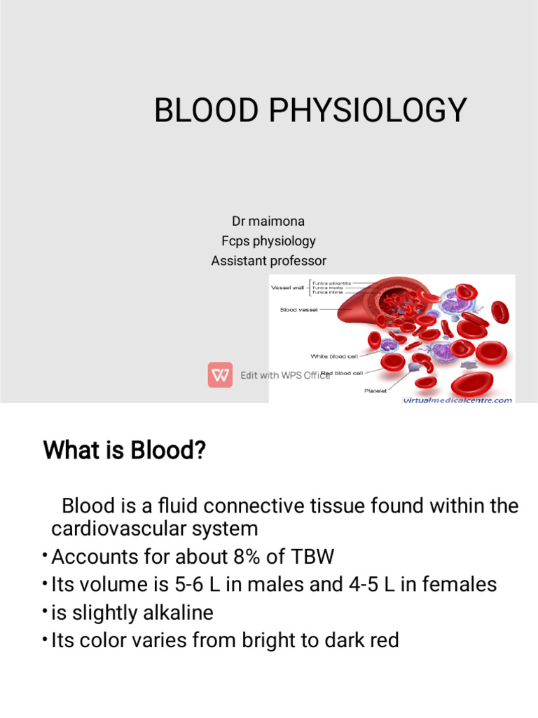 Blood Physiology: Functions & Composition | PDF | Red Blood Cell ...