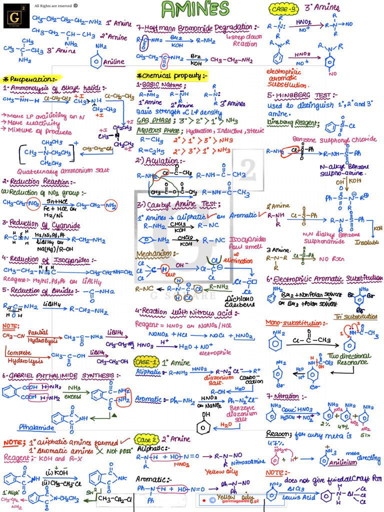 Amines 12th Class 13th Chapter - 250702 - 004040 | PDF