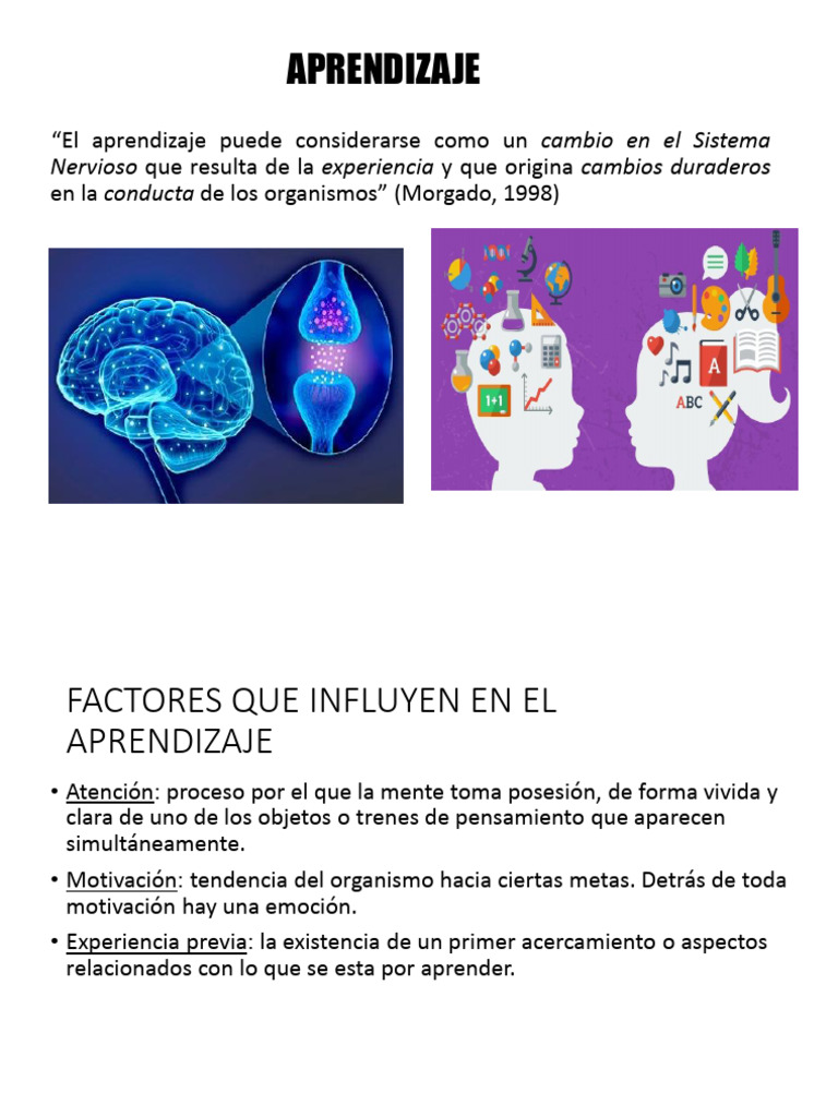 Factores y Tipos de Aprendizaje y Memoria | PDF | Memoria | Aprendizaje