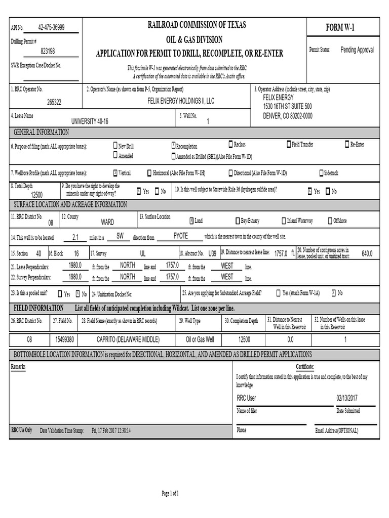 Texas Oil & Gas Drilling Permit Application | PDF
