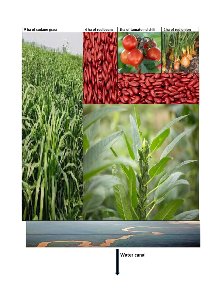 Kaamil | PDF
