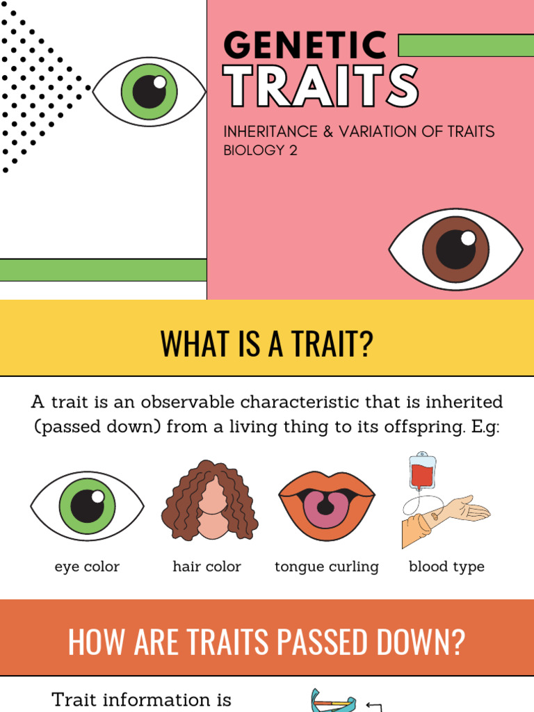 Biology 2 Genetic Traits | PDF | Reproduction | Genetics