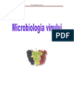 Microbiologia Vinului