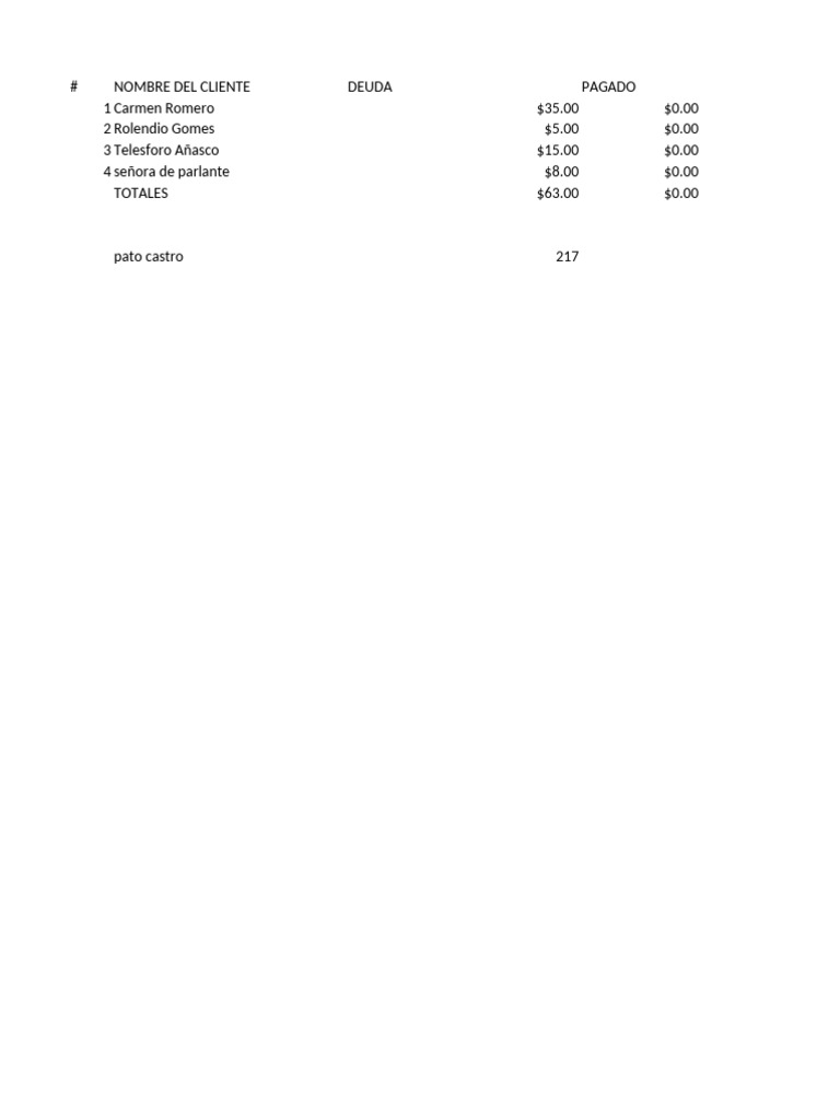 Client Debt Summary Report | PDF