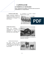 Manual de Bufalos-3