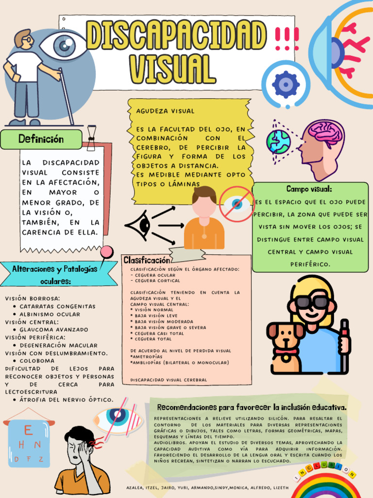 Concepto de Discapacidad Visual | PDF | Percepción visual ...