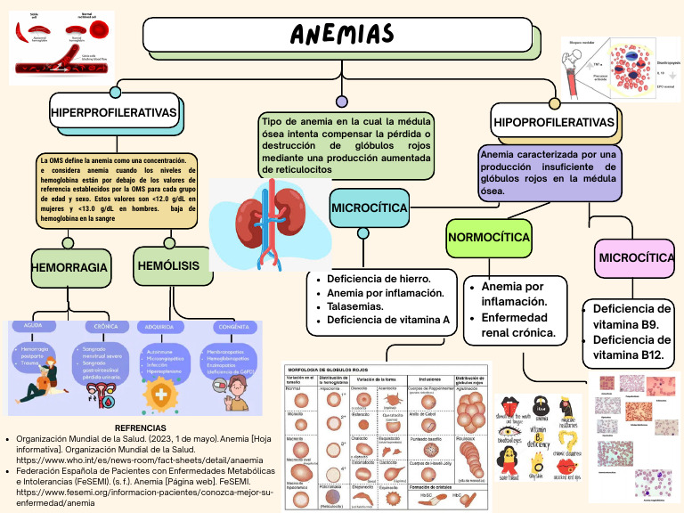 Tipos y Causas de Anemia según la OMS | PDF | Anemia | Anatomia animal