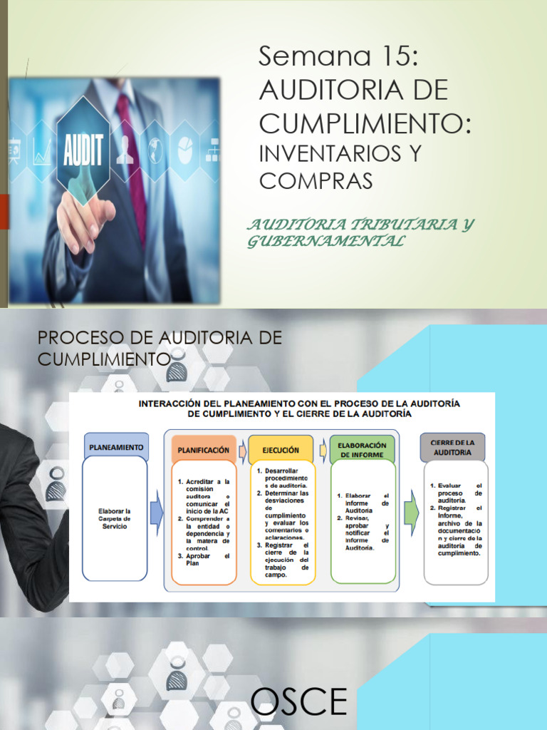 Auditoria de Cumplimiento de Inventarios y Compras | PDF