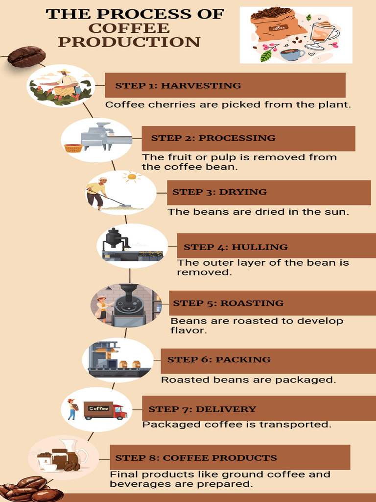 The Process of Coffee Production - 20250312 - 205812 - 0000 | PDF