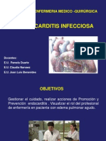 Clase Endocarditis