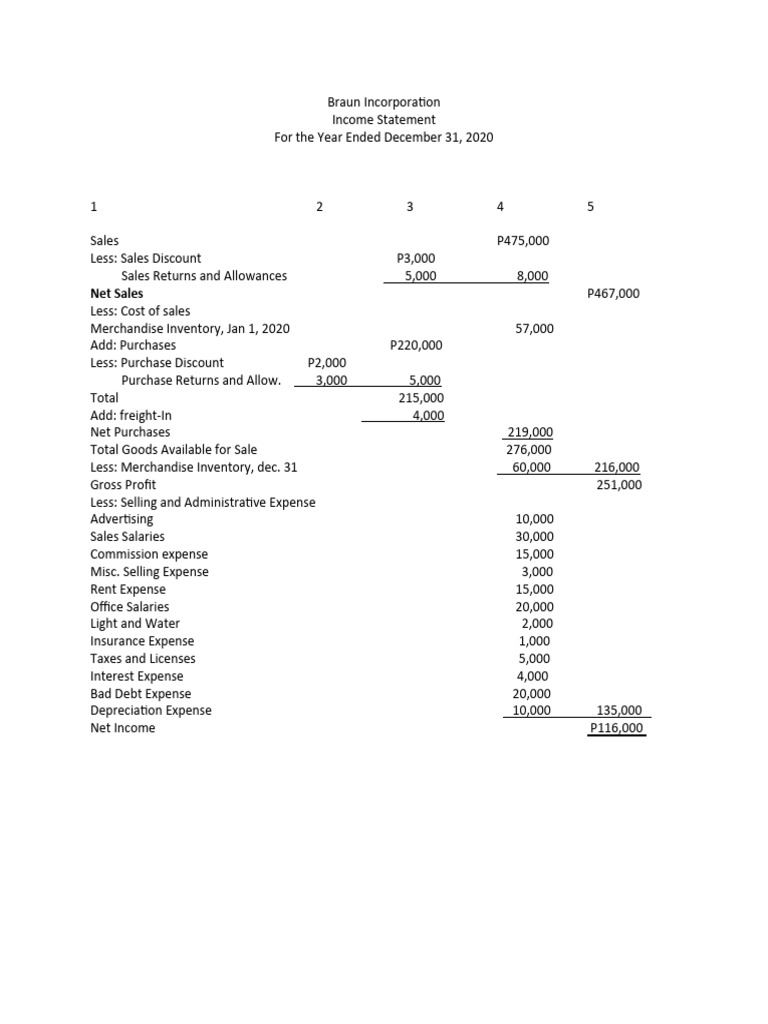 Braun Corp Income Statement 2020 | PDF
