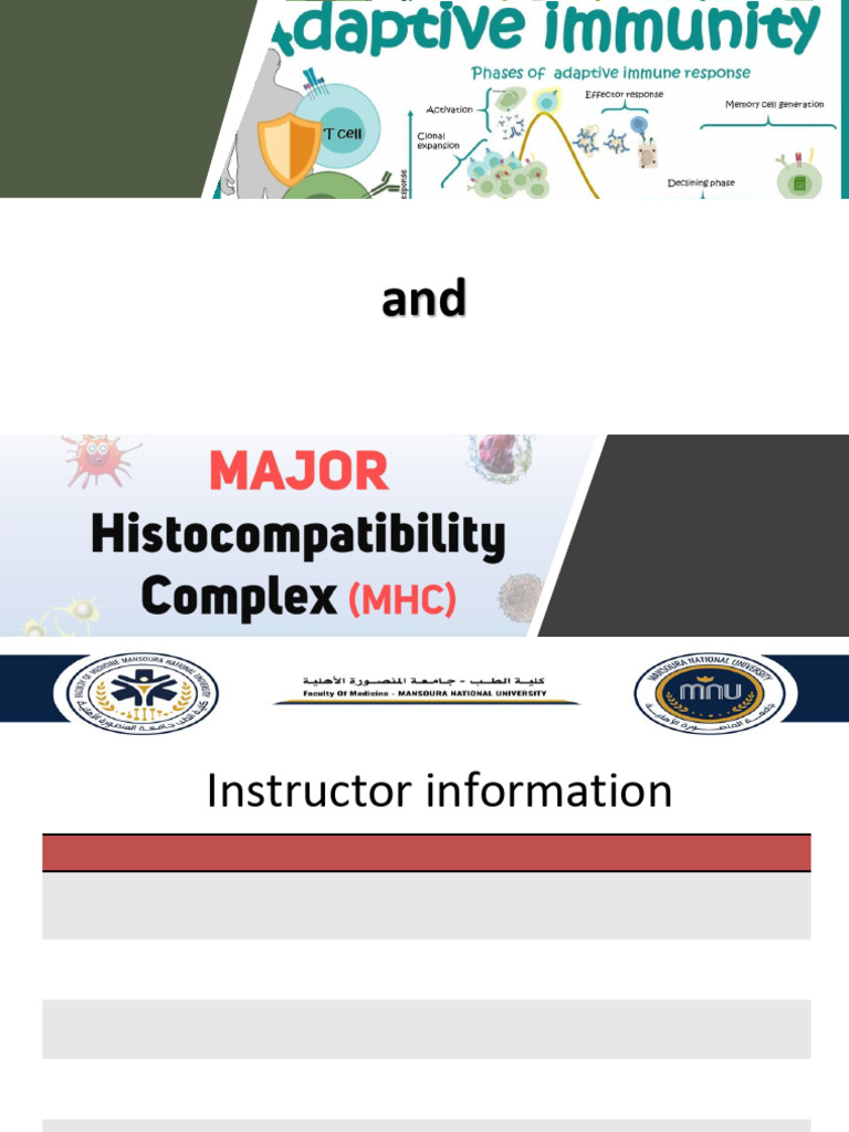 L2 Adaptive Immunity and MHC | PDF | T Helper Cell | Cytotoxic T Cell
