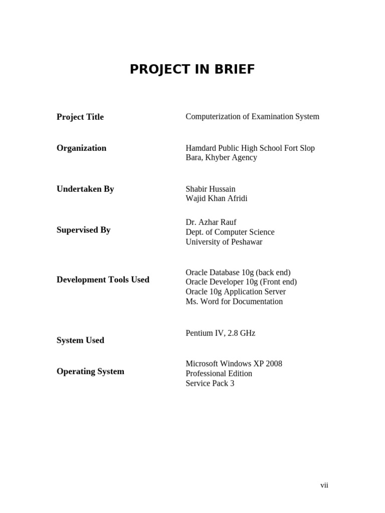 08 Project in Brief | PDF