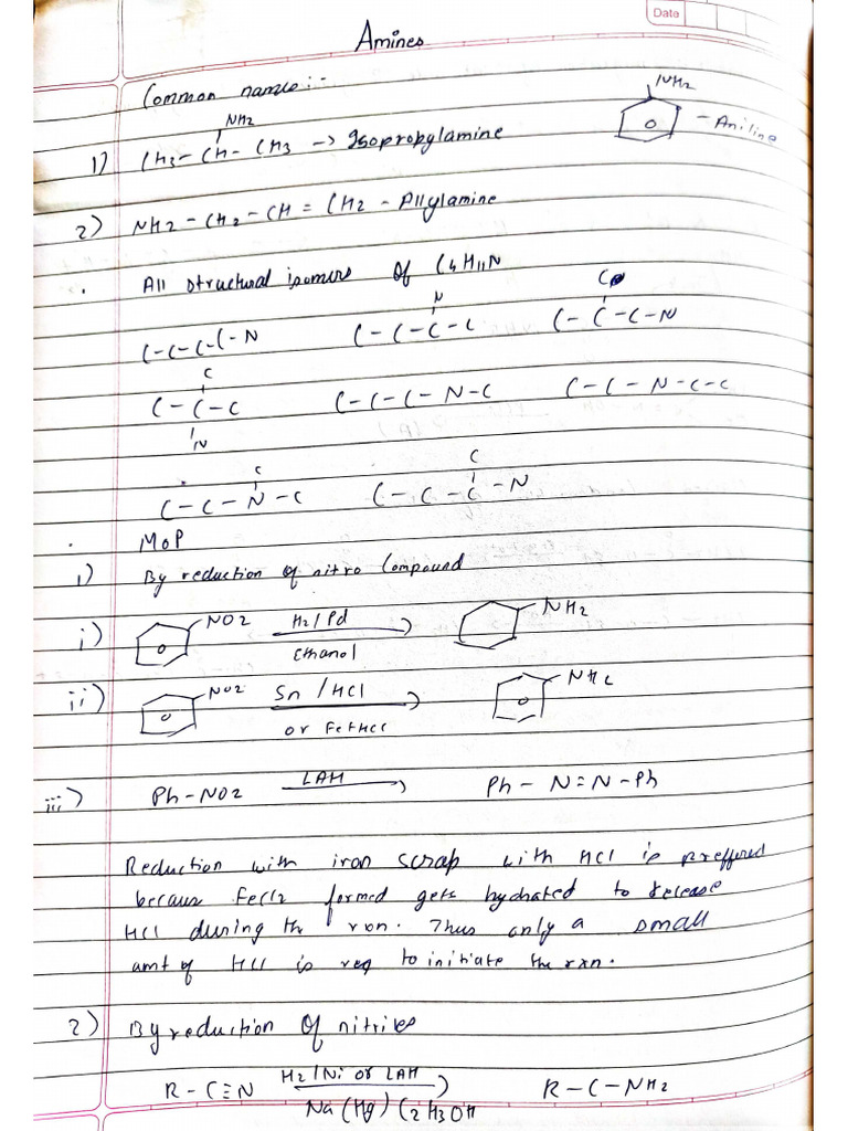 Animes Notes | PDF