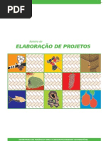 Roteiro Elaboracao Projetos Cex 65
