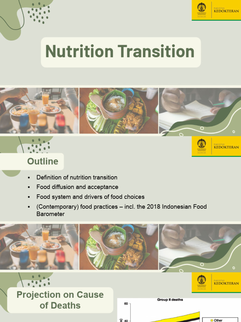 Understanding Nutrition Transition Dynamics | PDF | Meal | Foods