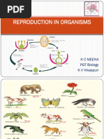 Reproduction in Organisms: Class 12 Notes | PDF | Fertilisation ...