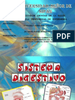 Exposicion de Sistema Digeestivo