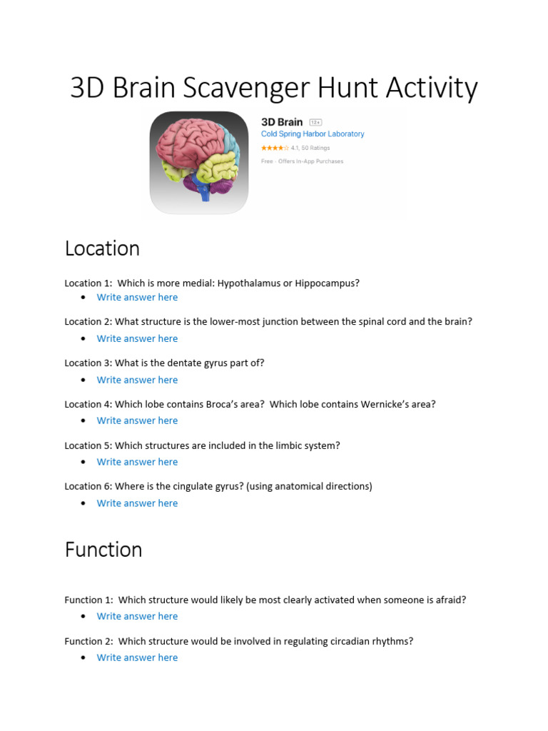 3D Brain Scavenger Hunt New. | PDF | Brain | Limbic System