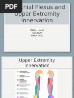 ACDF Post-Op Physical Therapy Protocol | PDF | Anatomical Terms Of ...