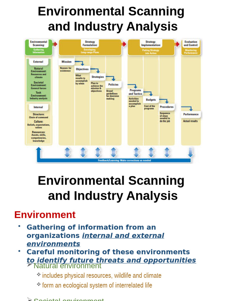 Environmental Scanning and Industry Analysis | PDF | Natural ...