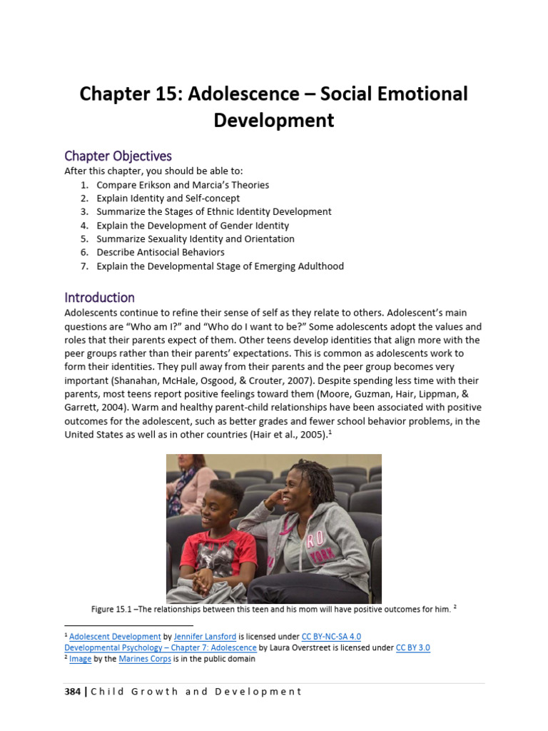 Chapter 15 - Adolescence - Social Emotional Development | PDF ...