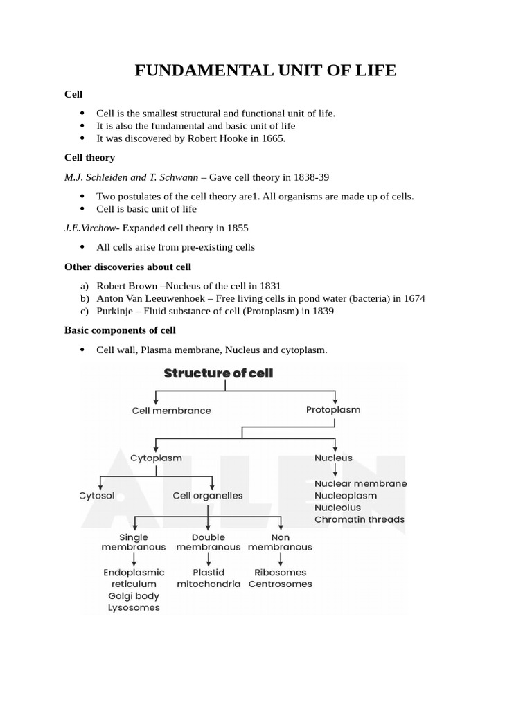 Understanding Cell Structure and Function | PDF | Cell (Biology) | Cell ...