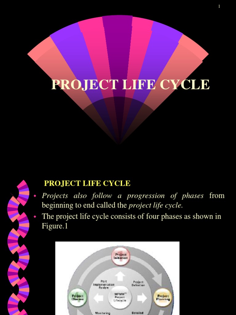 Chapter 3 Project Life Cycle | PDF | Project Management | Business