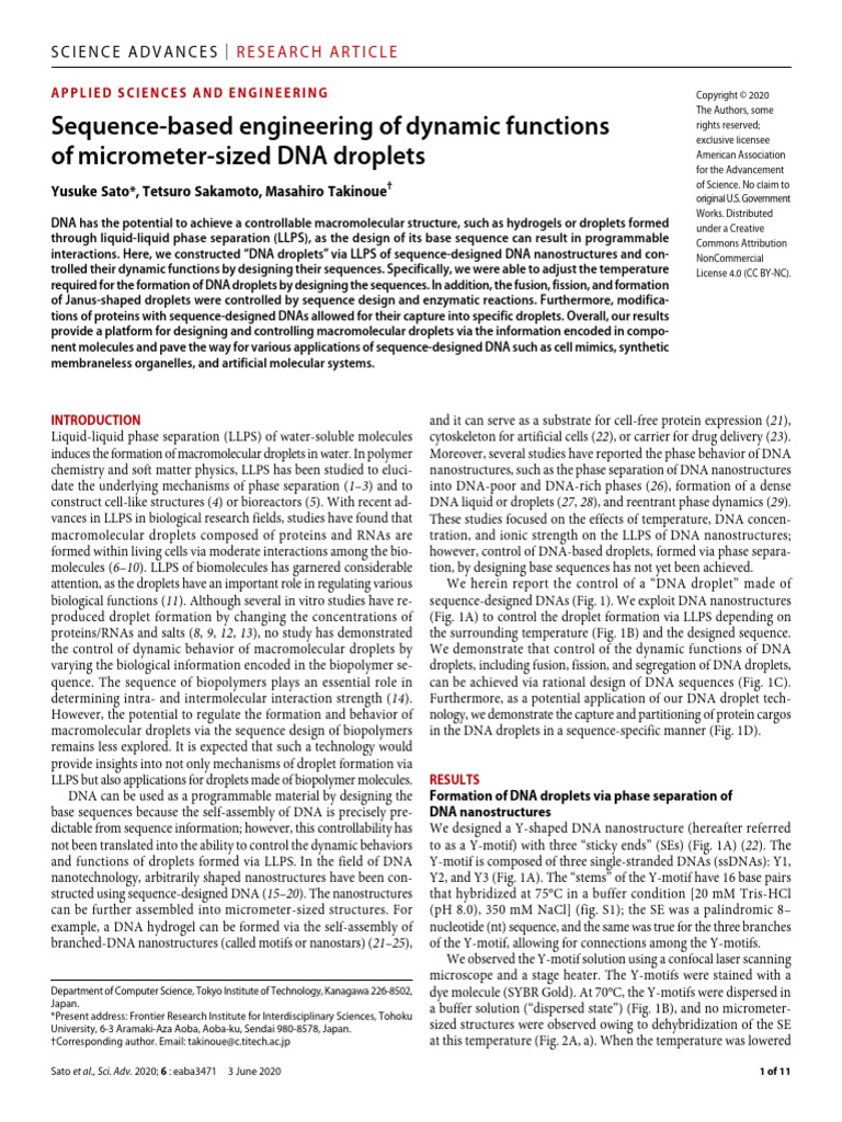 Engineering Dynamic DNA Droplets | PDF | Macromolecules | Dna