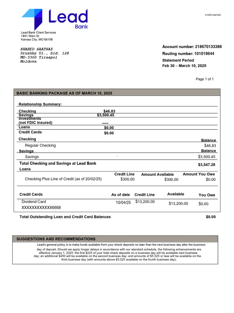 Lead Bank Statement Summary 2025 | PDF | Banks | Credit Card