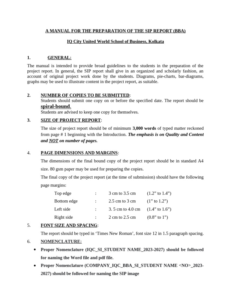 SIP Report Preparation Guide BBA | PDF