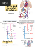Fetal Circulation Flow Chart | PDF