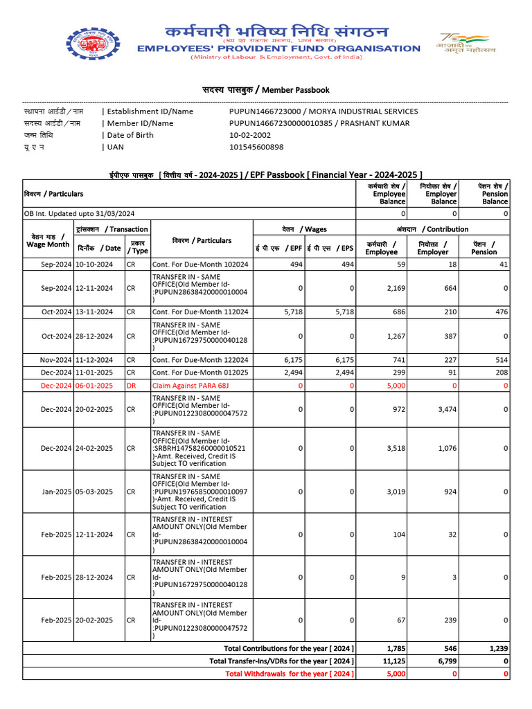 EPF Passbook Summary 2024-2025 | PDF | Pension | Employee Relations