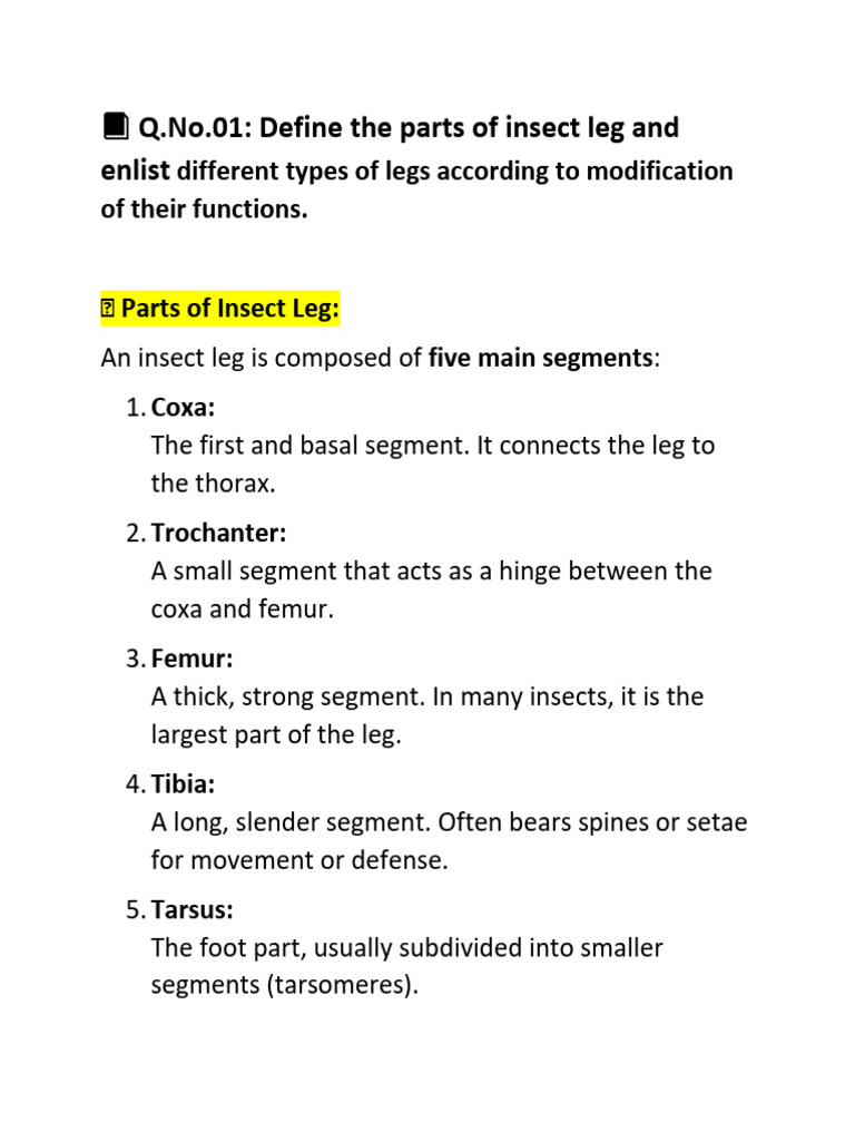 Entomology Specialization | PDF | Insects | Digestion