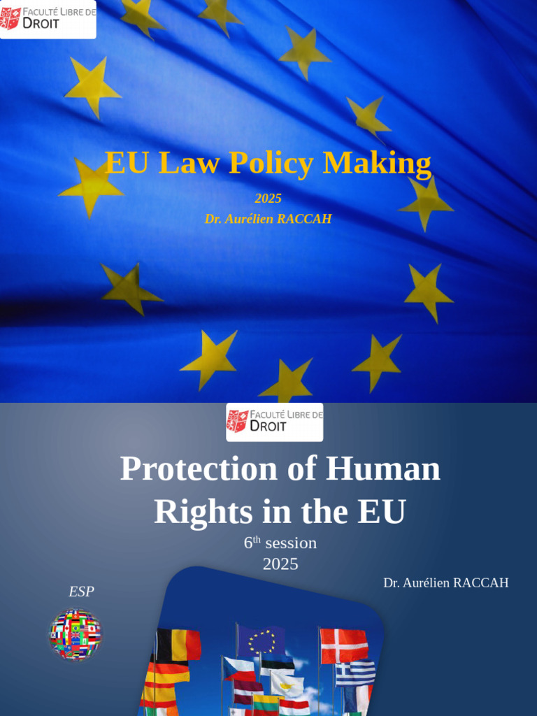 RACCAH - EU Law Policy Making - PWP - Human Rights - 2025 | PDF ...