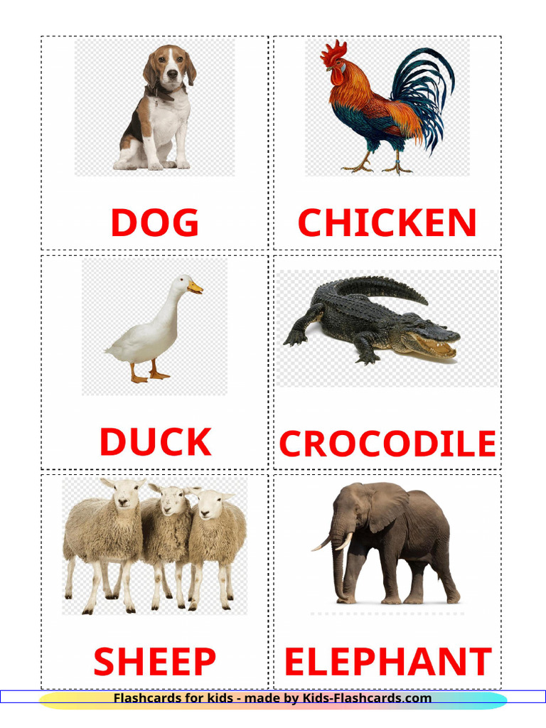 Animals | PDF