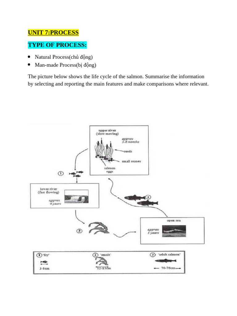 UNIT 7 Process | PDF