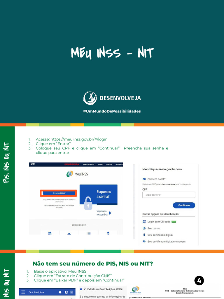 Como Consultar NIT pelo Meu INSS | PDF
