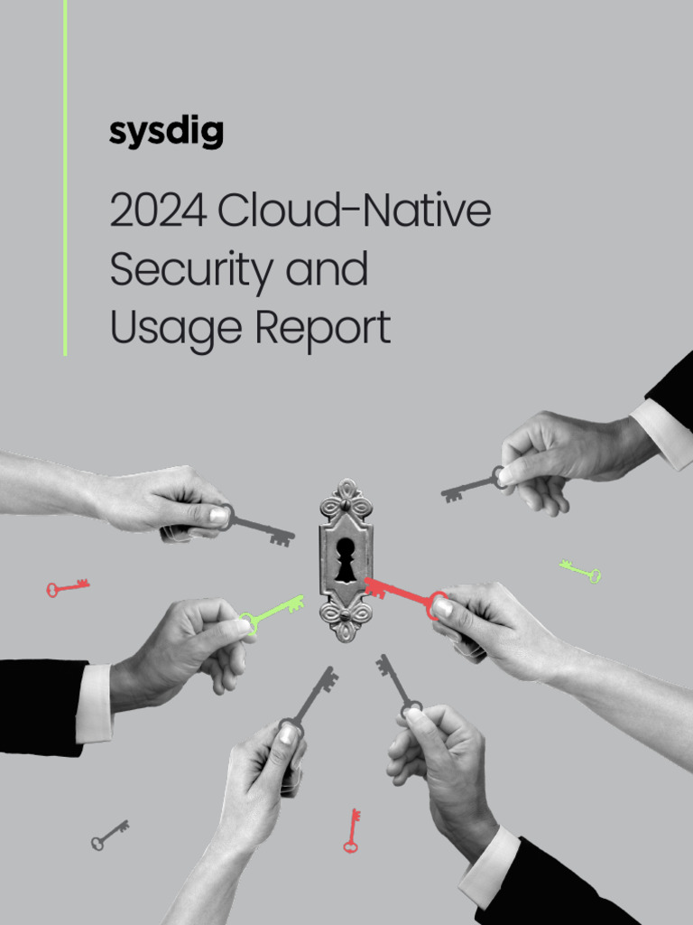 2024 Cloud-Native Security Insights | PDF | Computer Security | Security