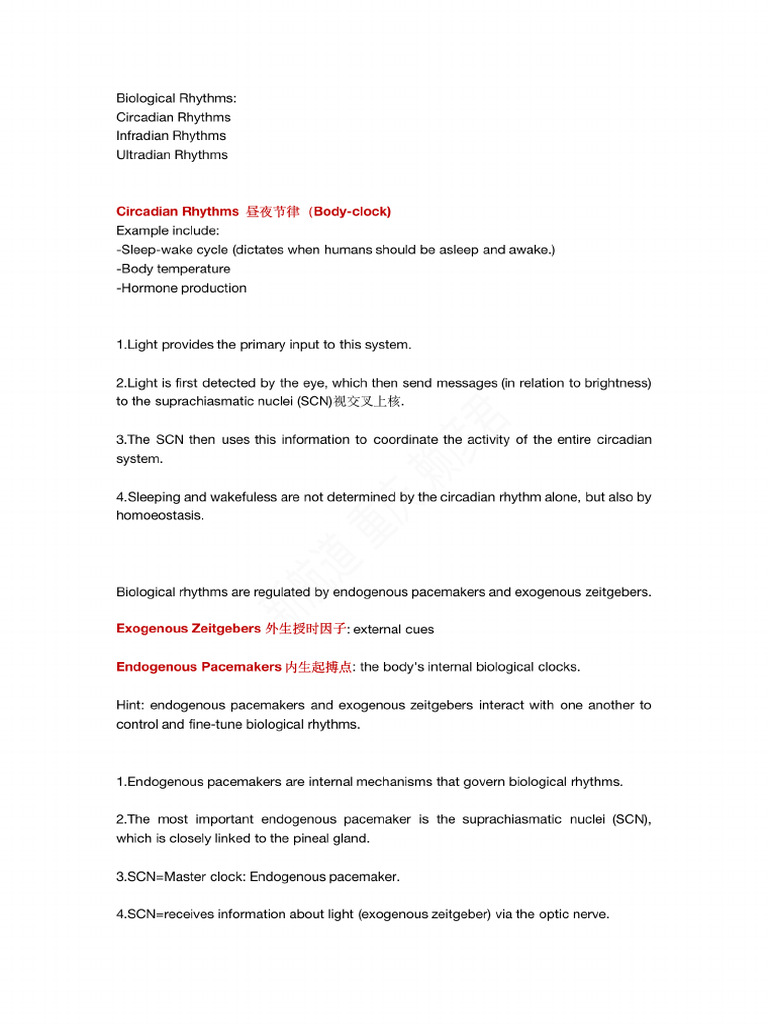 2 4 | PDF