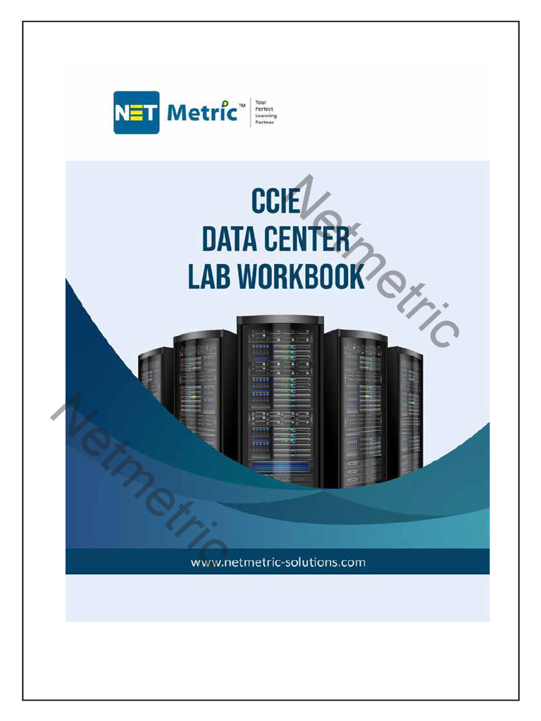 Netmetric Networking Labs Guide | PDF | Ip Address | Internet Protocols