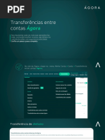 Guia de Transferência de Custódia STVM | PDF