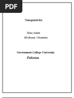 Download Nanoparticles by Hina Aslam SN88358591 doc pdf