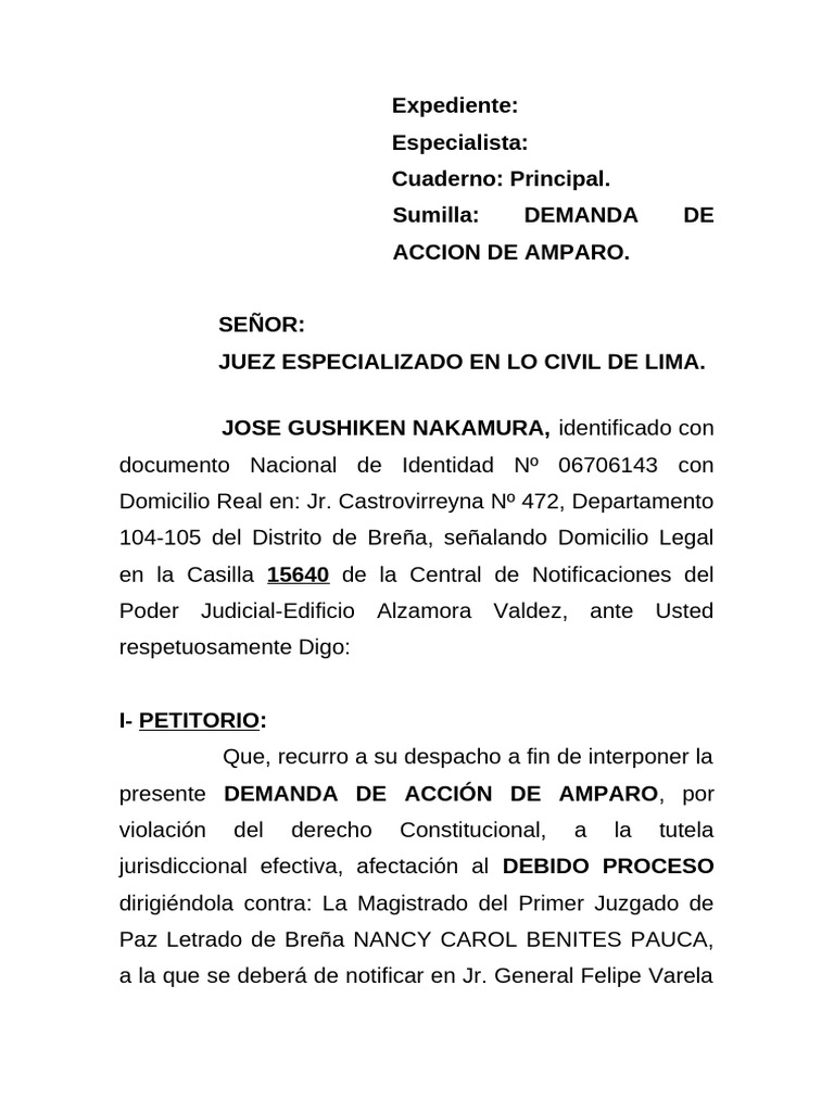 Demanda de Amparo por Desalojo Injusto | PDF | Demanda judicial | Apelación