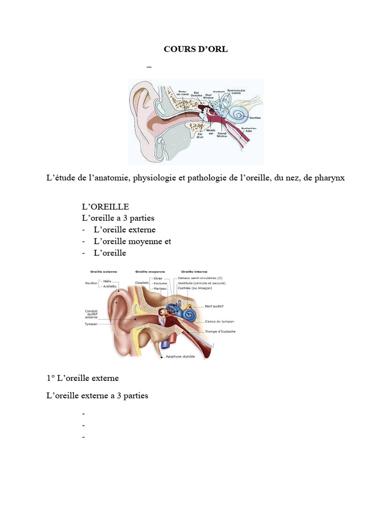 Anatomie et pathologie de l'oreille | PDF | Oreille | Système vestibulaire