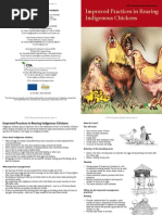 Road Runner Chicken Farming Guide | PDF | Chicken | Egg