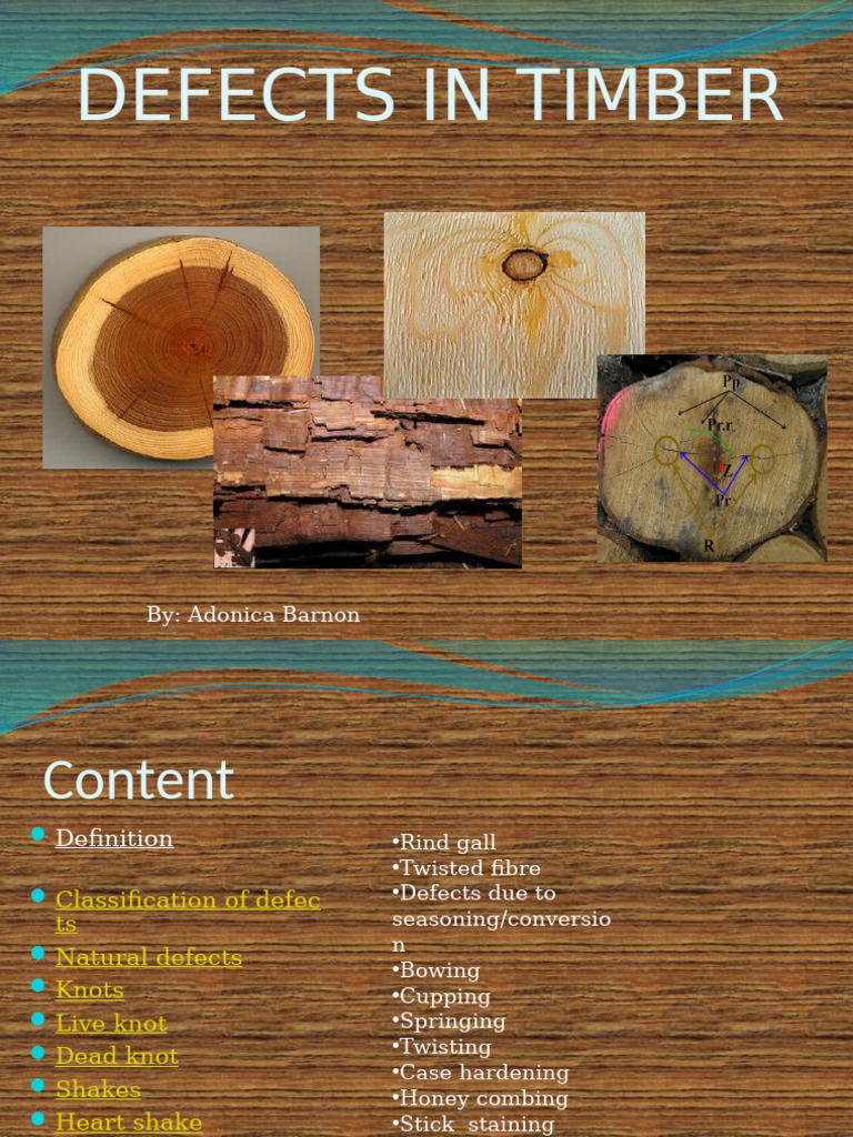 Defectsintimber 190403160403 | PDF | Wood | Lumber